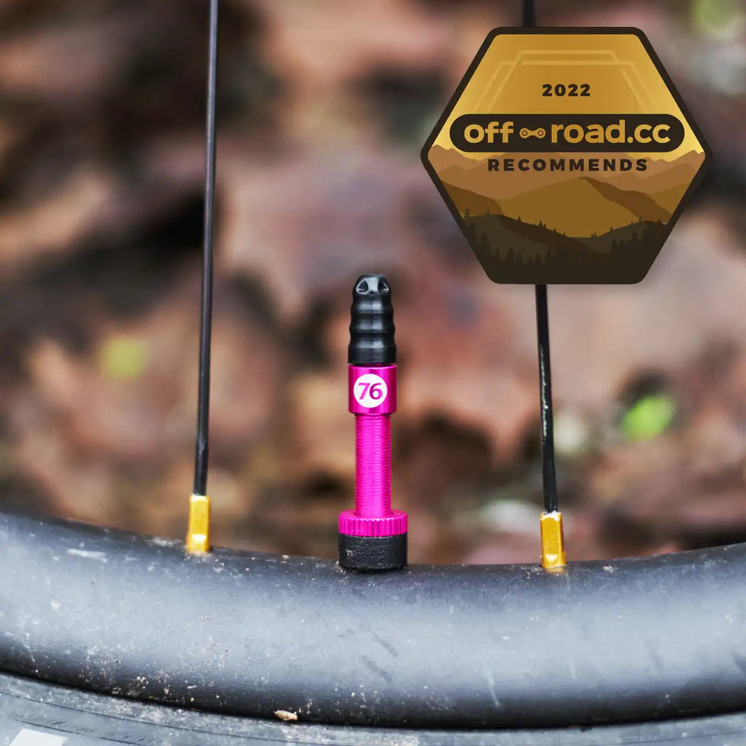 Hi Flow "No Clog" Tubelessventile