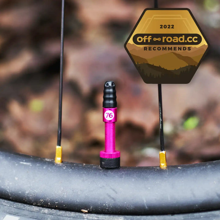 Hi Flow "No Clog" Tubelessventile