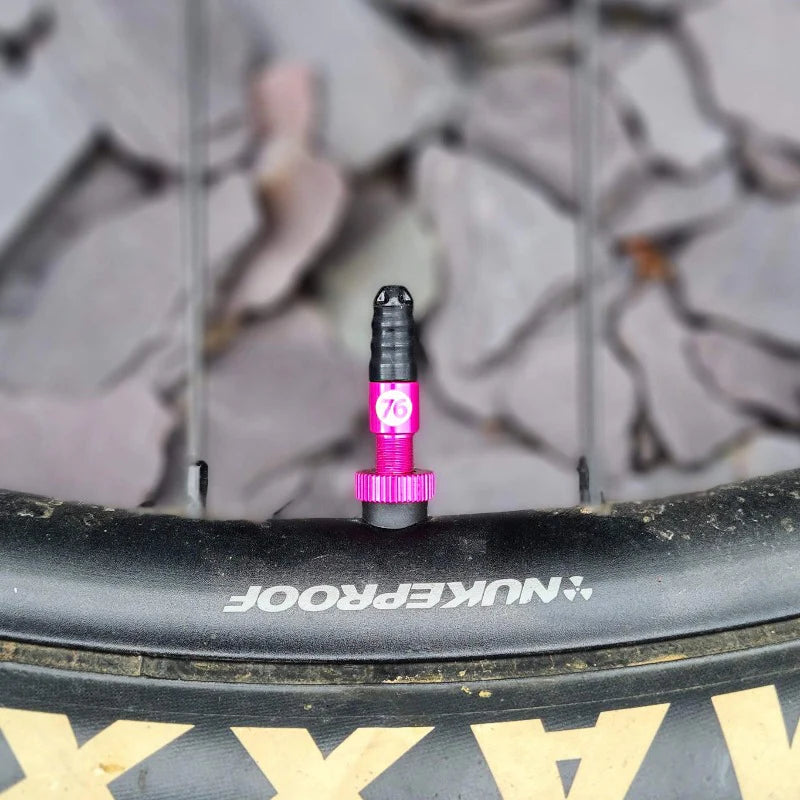 Hi Flow "No Clog" Tubelessventile